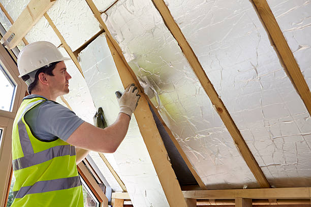 Best Attic Insulation Installation  in La Paloma, TX